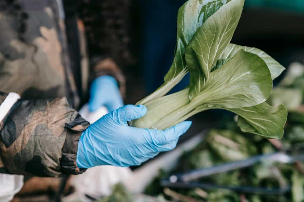 A closeup of a man's hands holding a vegetable in a market in the concept of 'best local shops and markets in Greenwich'.