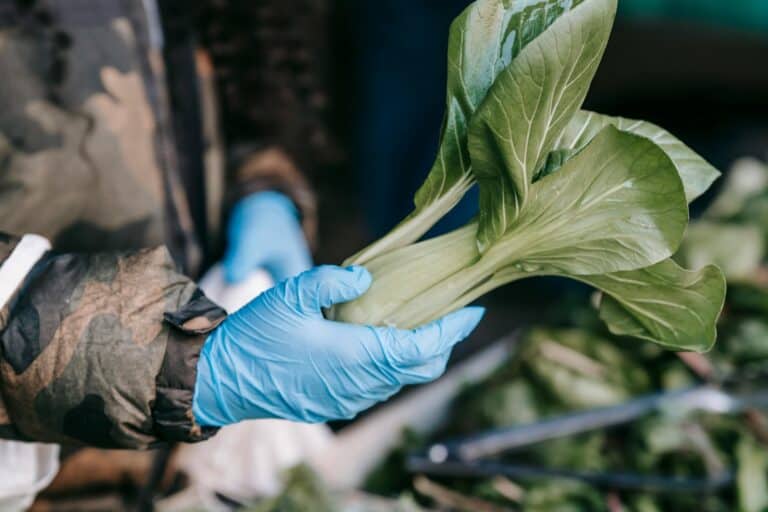 A closeup of a man's hands holding a vegetable in a market in the concept of 'best local shops and markets in Greenwich'.